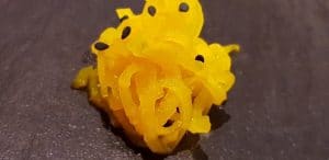 Avalon, restaurant cu bucatarie internationala la hotelul Sheraton Bucuresti