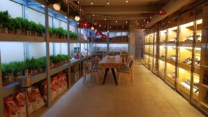 Bocca Lupo Cucina Italiana