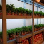 Bocca Lupo Cucina Italiana