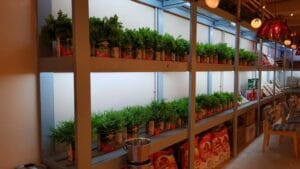 Bocca Lupo Cucina Italiana