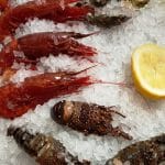 Dancing Lobster, bucatarie traditionala portugheza, peste si fructe de mare la Pescariu Sports and Spa