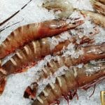 Dancing Lobster, bucatarie traditionala portugheza, peste si fructe de mare la Pescariu Sports and Spa
