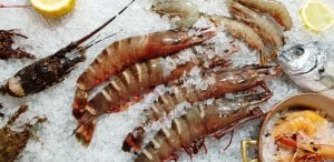 Dancing Lobster, bucatarie traditionala portugheza, peste si fructe de mare la Pescariu Sports and Spa