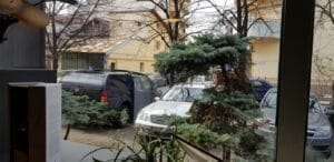 Fish House, restaurant cu bucatarie pescareasca croata la Piata Floreasca