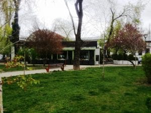 Gargantua in The Park