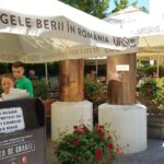 Hanul Berarilor Casa Elena Lupescu