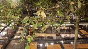 Hanul lui Manuc, terasa cu platani