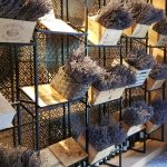 Il Locale, restaurant cu specific italian traditional in Parcul Herastrau