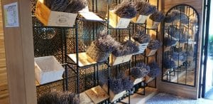 Il Locale, restaurant cu specific italian traditional in Parcul Herastrau