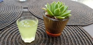 Il Locale, restaurant cu specific italian traditional in Parcul Herastrau