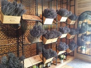 Il Locale, restaurant italian si terasa in parcul Herastrau