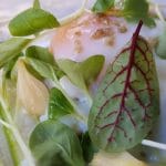 La Vinuri, restaurant cu noua bucatarie romaneasca fina, creativa