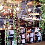 Madame Pogany, restaurant club in Piata Floreasca