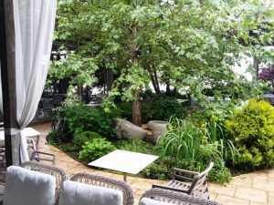 Restaurant Aqua in Parcul Herastrau