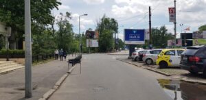 Restaurantul Voievodal Baneasa bucatarie romaneasca traditionala 03