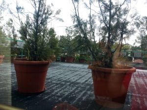 Seoul, restaurant coreean la Manastirea Casin