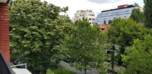 Trattoria Buongiorno Primaverii