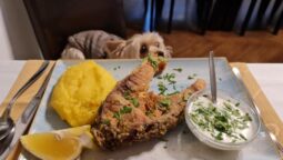 Bucatarie romaneasca si balcanica la Torna Frate