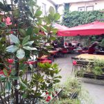 PaniPit - restaurant international in Chisinau