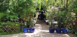 Torna Fratre restaurant traditional romanesc si balcanic in Bucuresti 08