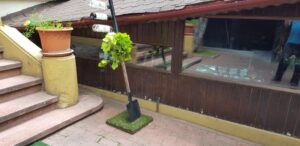 Torna Fratre restaurant traditional romanesc si balcanic in Bucuresti 30