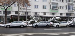 Trattoria Il Calcio Calea Floreasca, restaurant traditional italian