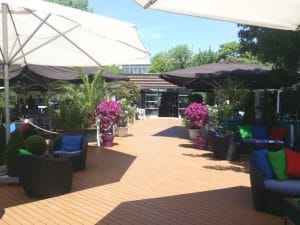 Bonton Palace, terasa cu piscina in Parcul Herastrau