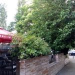 Burebista Vanatoresc, terasa in Bucuresti