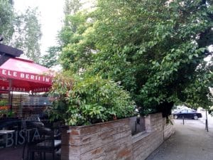Burebista Vanatoresc, terasa in Bucuresti