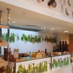 Caffe Citta restaurant italian la hotelul Radisson Blu 15