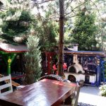 Casa Romaneasca, restaurant traditional romanesc la Otopeni