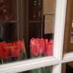 Chez Marie Garden, restaurant cu terasa pe General Berthelot in Bucuresti