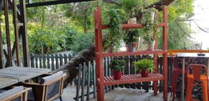 Funky Lounge Herastrau, terasa de vara