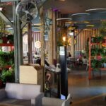 Funky Lounge Herastrau, terasa de vara