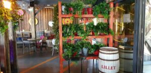 Funky Lounge Herastrau, terasa de vara