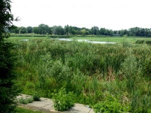 Diesel, hotel si restaurant in Parcul Floreasca