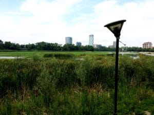 Diesel, hotel si restaurant in Parcul Floreasca