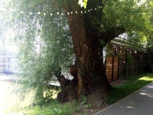 Biutiful by The Lake - Cele mai frumoase restaurante