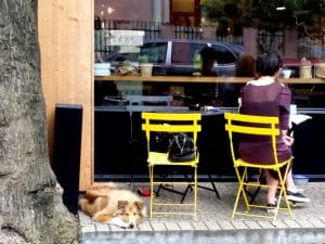 Frudisiac, cafenea scandinva in Piata Dorobantilor