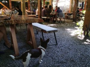 Gradina Verona din Bucuresti