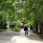 Gradina Verona, terasa de vara si cafenea boema, spatiu de evenimente culturale