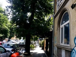 Kaffein, rosterie artizanala turceasca de cafea in Floreasca