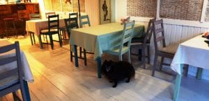 La Pescaria Dorobantilor, bistrou de peste la Piata Dorobantilor din Bucuresti