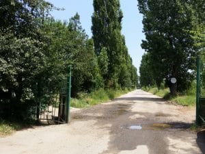 Malul lacului Plumbuita, Bucuresti