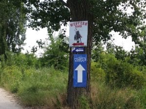 Malul lacului Plumbuita, Bucuresti