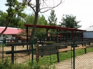 Malul lacului Plumbuita, Bucuresti