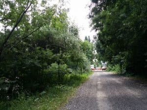 Malul lacului Plumbuita, Bucuresti