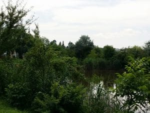 Malul lacului Plumbuita, Bucuresti