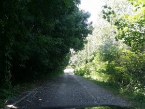 Malul lacului Plumbuita, Bucuresti