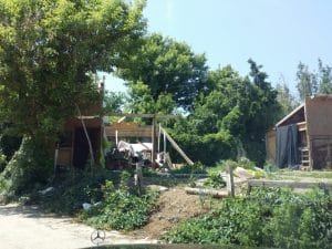 Malul lacului Plumbuita, Bucuresti